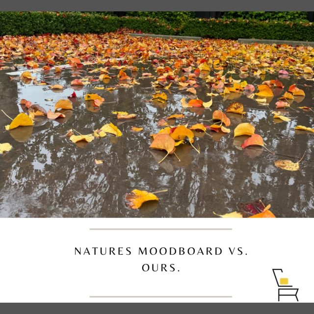 🍂 Nature’s moodboard vs ours.  Our styling palette isn’t inspired by trends, it’s inspired by *this*. 🍁Rust, caramel, and warm neutrals falling right outside our door, and somehow it’s the exact same story playing out inside every home we style. Coincidence? We don’t think so.Swipe to see winter doing its thing outside… and then doing its thing inside, styled to sell.📍 Adelaide
✨ Creative Rooms#StagedToSell #CreativeRoomsAdelaide #HomeStaging #AutumnPalette #AdelaideRealEstate